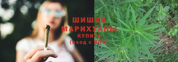 бошки Алексин