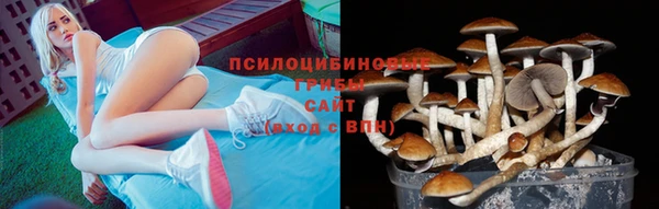 круглые Алексеевка