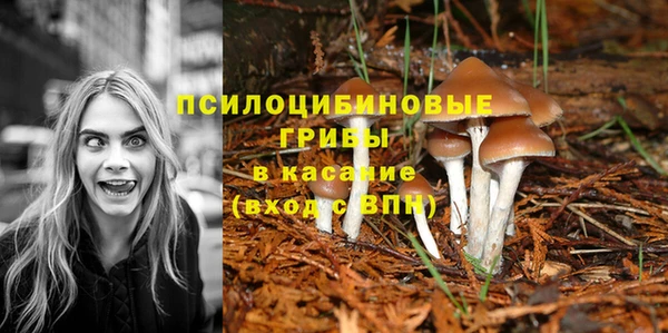 круглые Алексеевка