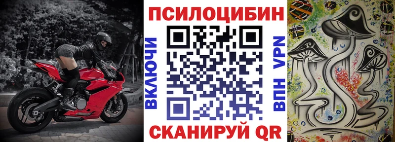 Галлюциногенные грибы Magic Shrooms  Гурьевск 